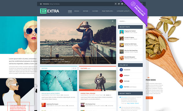 Extra v2.0.13 - Premium WordPress Theme v2.0.13