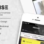 Precise v1.0.1 - Multipurpose Responsive WordPress Theme