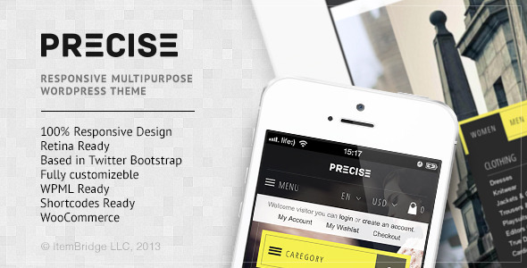 Precise v1.0.1 - Multipurpose Responsive WordPress Theme