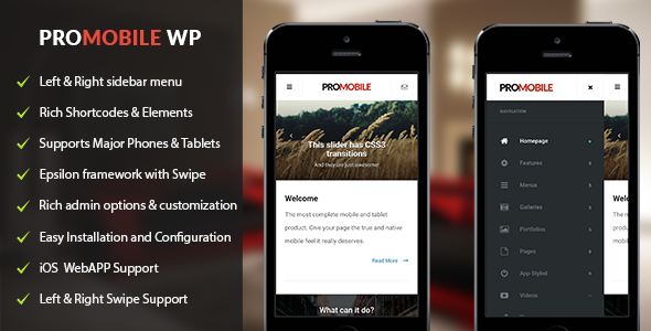 ProMobile v1.0.1 - Mobile and Tablet Responsive WordPress Theme