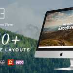 ZAP v1.4.0 - Creative & Multi-Concept WordPress Theme