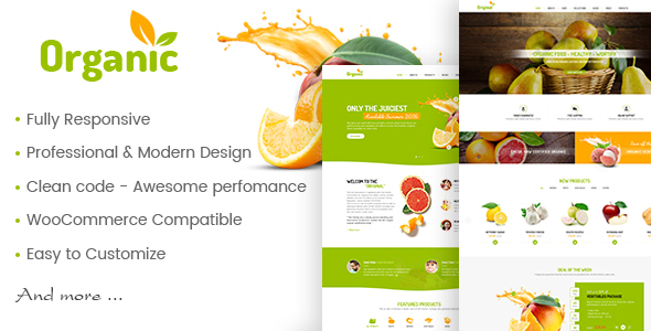 AmyOrganic v1.0.2 - Organic and Healthy Theme for WordPress