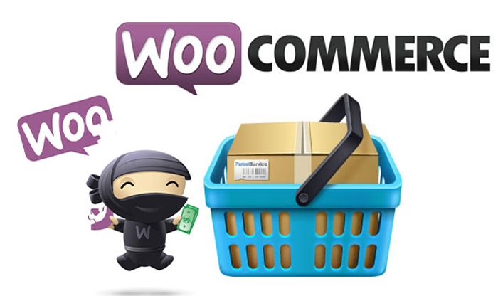 100+ WooCommerce Plugins Free Download [Latest Updated]