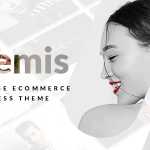 Artemis v1.1.1 - Multi-purpose WooCommerce WordPress Theme