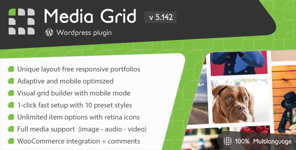 Media Grid v5.142 - WordPress Responsive Portfolio