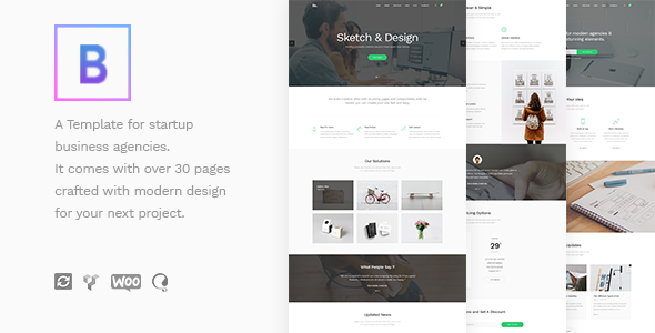 BoTheme v1.1 - Startup Business WordPress Theme