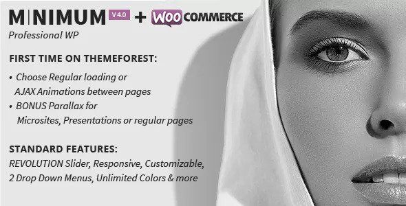 MINIMUM v4.0 - Professional WordPress Theme