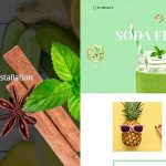 Nutritious v1.3 - Organic food Drink WooCommerce Theme