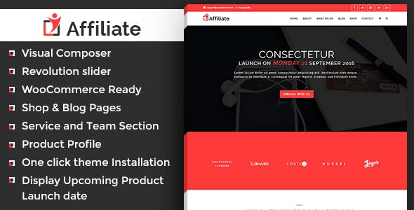 Affiliate Marketing v1.1 - WordPress Theme