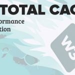 W3 Total Cache Pro v0.10.1 WordPress Plugin