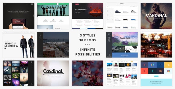 Cardinal v2.6.32 - WordPress Theme