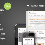 Modernize v3.3.1 - Flexibility of WordPress