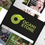 Ogani v1.2.6 - Organic Food Store Theme for WooCommerce