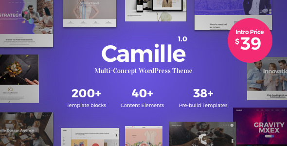 Camille v1.0.9 - Multi-Concept WordPress Theme