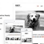 Purity - Responsive, Minimal & Bold WP Theme