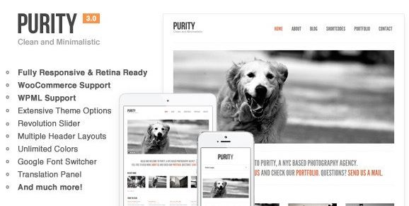 Purity - Responsive, Minimal & Bold WP Theme