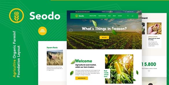 Seodo | Agriculture Farming Foundation WordPress Theme