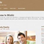 Themify Minblr WordPress Theme