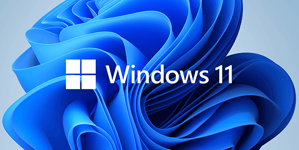 Windows 11 Pro Free Download