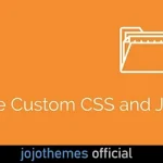 Simple Custom CSS and JS PRO