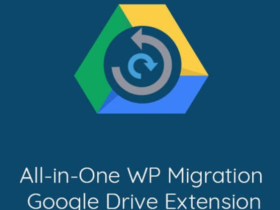 All-in-One WP Migration Google Drive Extension v.2.77 (Activated)