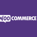 WooCommerce Chase Paymentech (v.1.18.0) Free Download